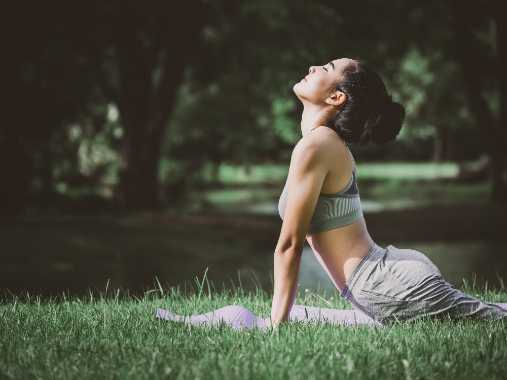 Yoga & Meditation