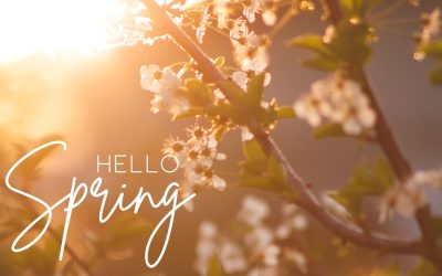 Spring: A Time For Renewal and Healing