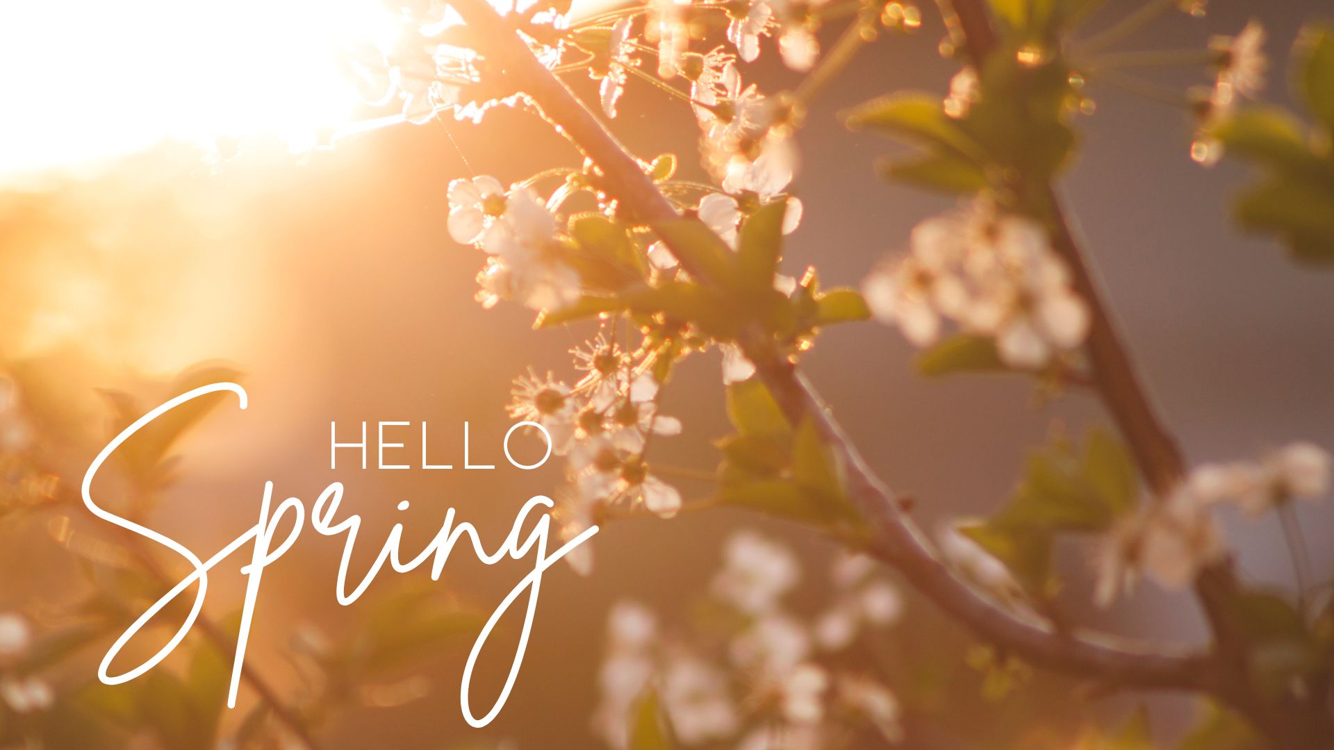 Hello Spring